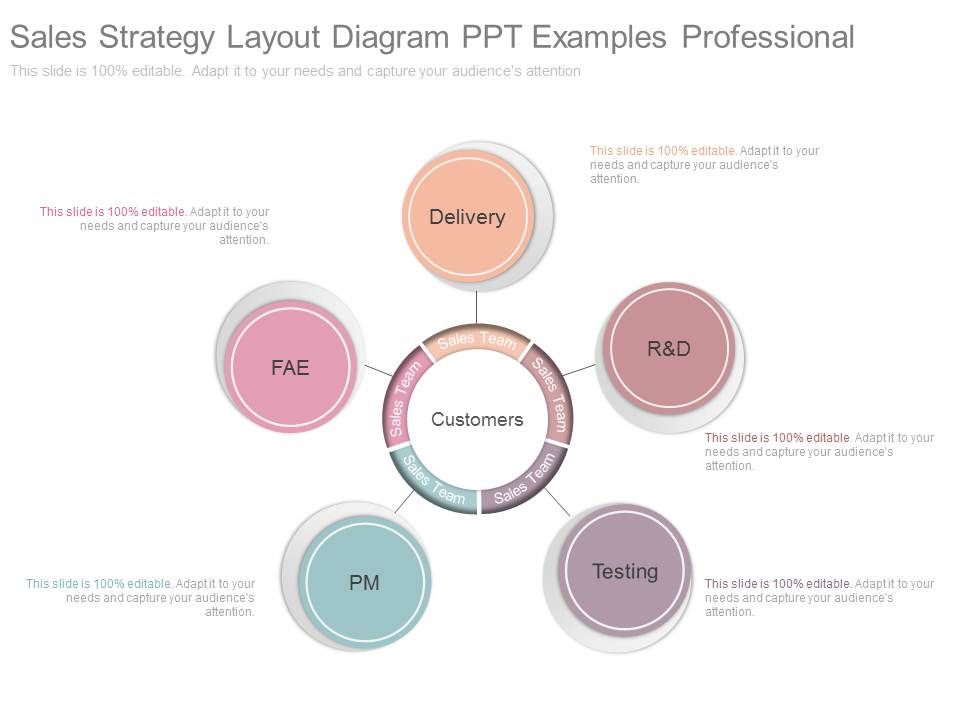 Sales_Strategy_Layout_Diagram_Ppt_Examples_Professional_1.jpg