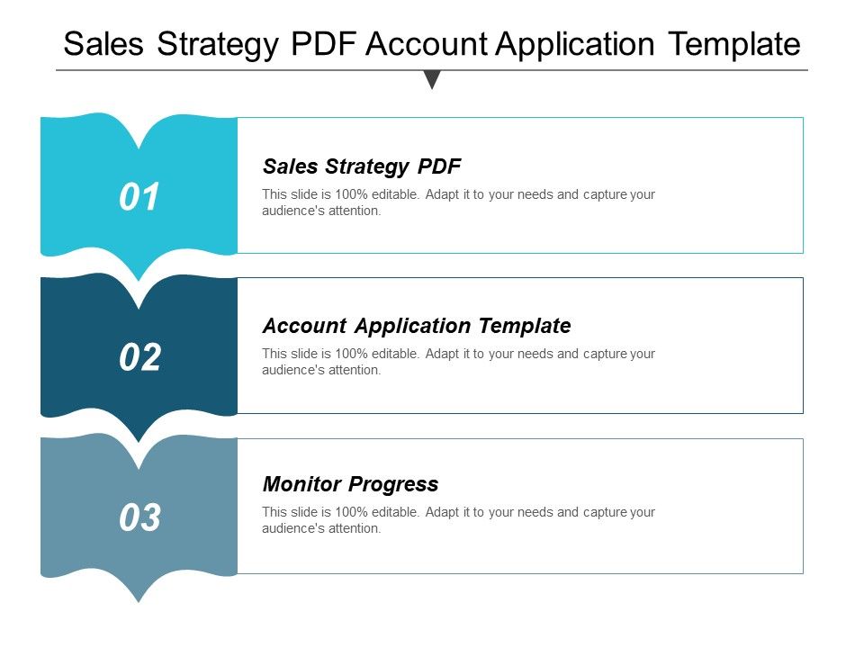 Sales_Strategy_Pdf_Account_Application_Template_Monitor_Progress_Ppt_PowerPoint_Presentation_Infographic_Template_Example_File_Slide_1.jpg
