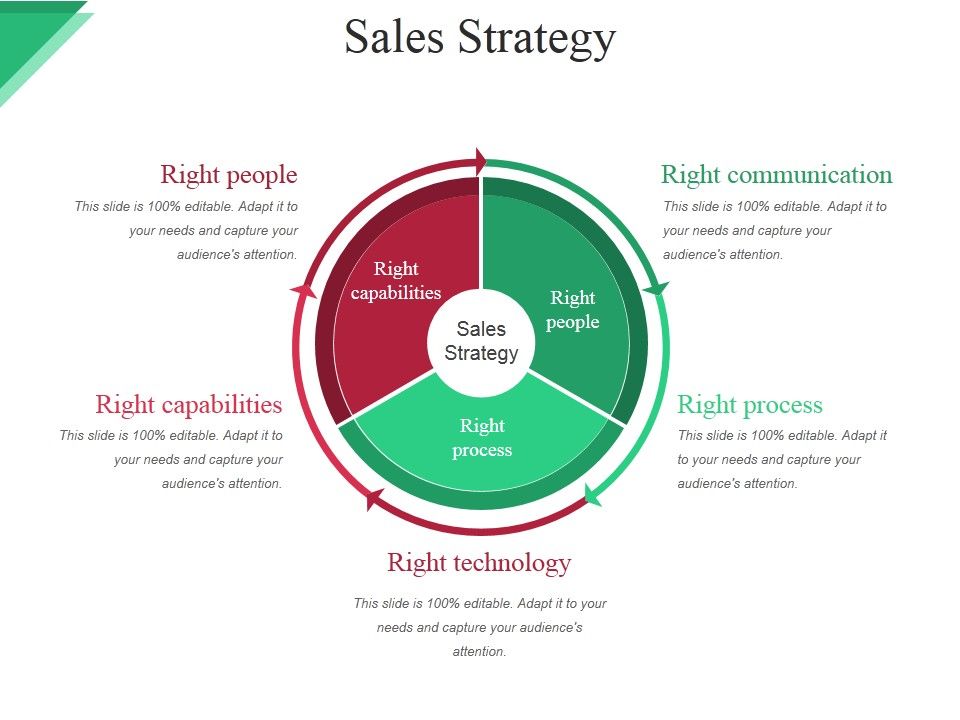 Sales_Strategy_Ppt_PowerPoint_Presentation_Infographic_Template_Design_Templates_Slide_1.jpg