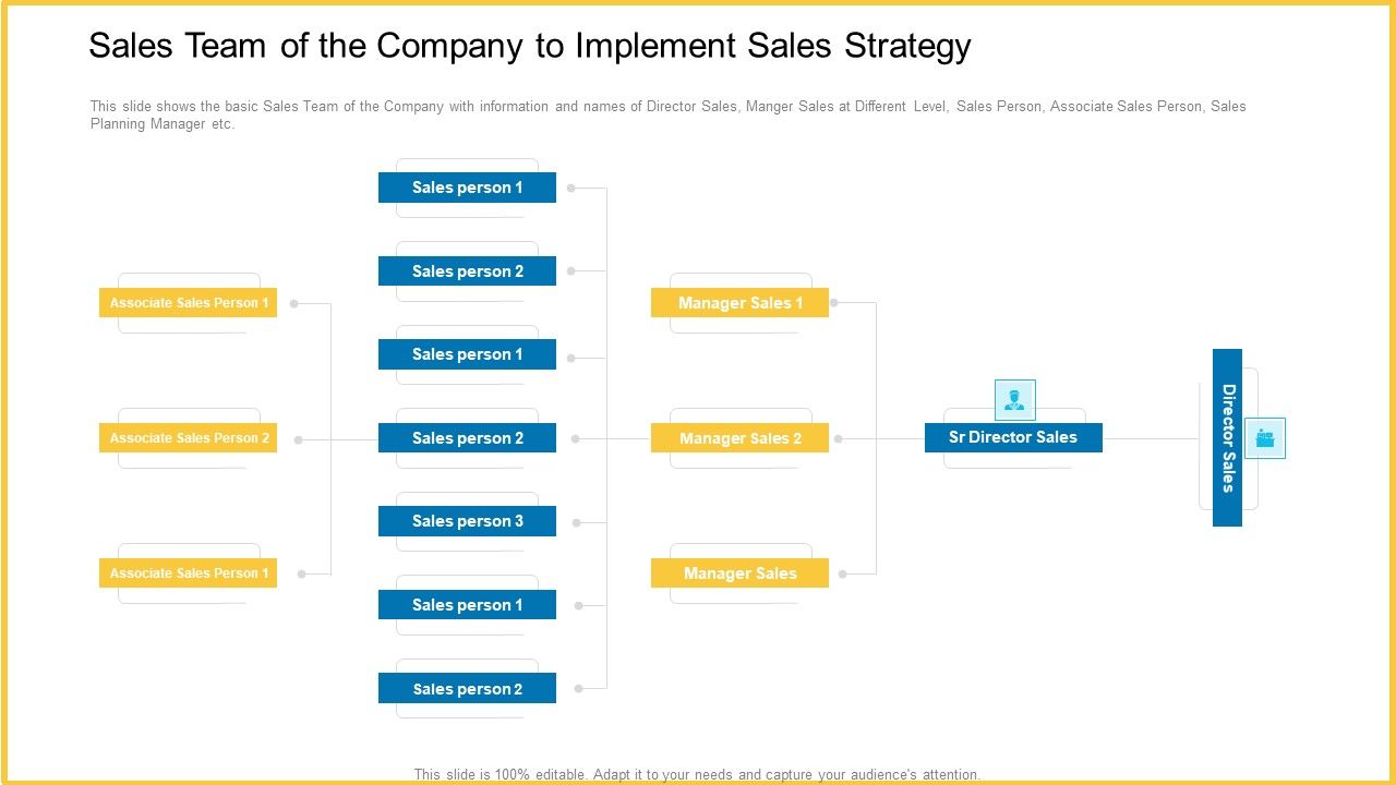 Sales_Team_Of_The_Company_To_Implement_Sales_Strategy_Demonstration_PDF_Slide_1.jpg