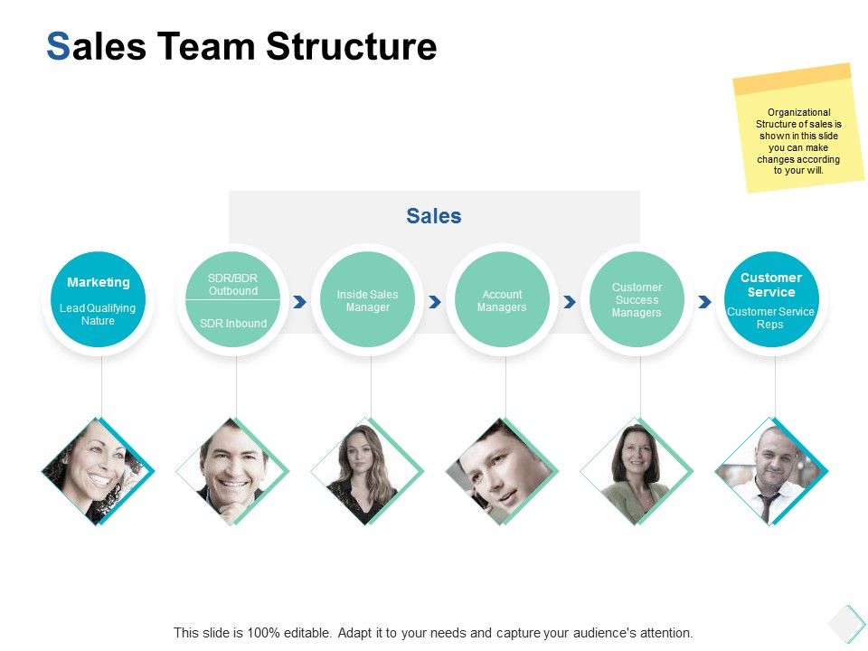 Sales_Team_Structure_Ppt_PowerPoint_Presentation_Gallery_Introduction_Slide_1.jpg