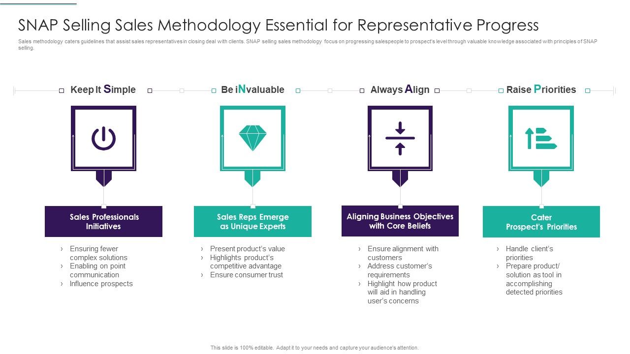 Sales_Techniques_Playbook_SNAP_Selling_Sales_Methodology_Essential_For_Representative_Progress_Demonstration_PDF_Slide_1.jpg