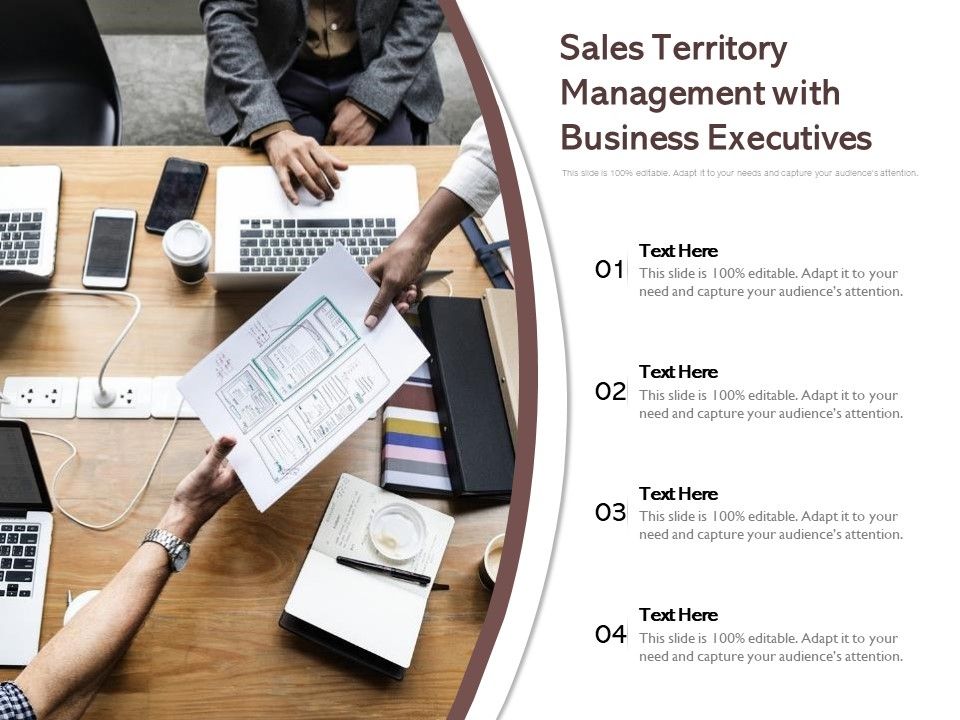 Sales_Territory_Management_With_Business_Executives_Ppt_PowerPoint_Presentation_Gallery_Graphic_Images_PDF_Slide_1.jpg