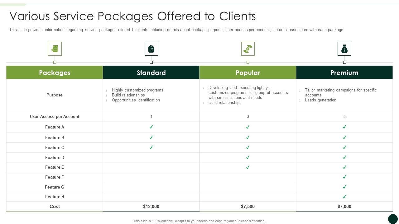 Salesman_Principles_Playbook_Various_Service_Packages_Offered_To_Clients_Summary_PDF_Slide_1.jpg