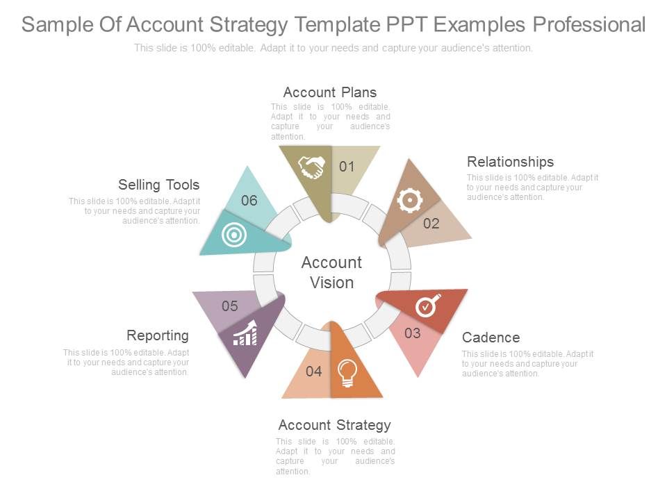 Sample_Of_Account_Strategy_Template_Ppt_Examples_Professional_1.jpg