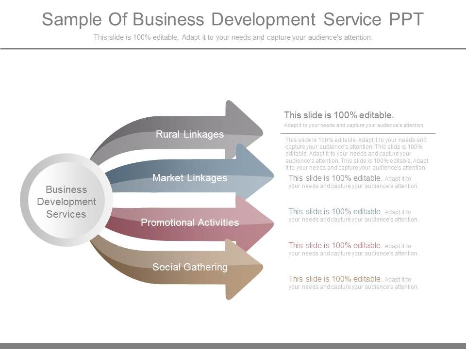 Sample_Of_Business_Development_Service_Ppt_1.jpg