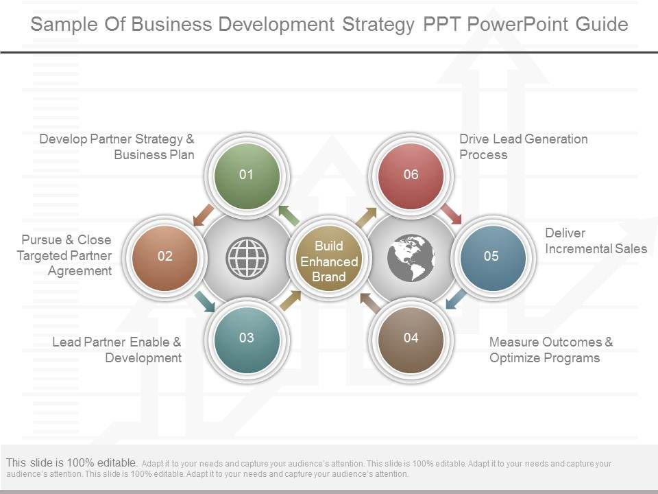 Sample_Of_Business_Development_Strategy_Ppt_Powerpoint_Guide_1.jpg