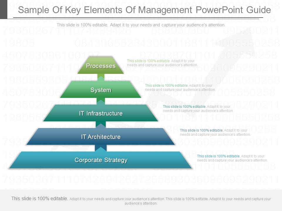 Sample_Of_Key_Elements_Of_Management_Powerpoint_Guide_1.jpg