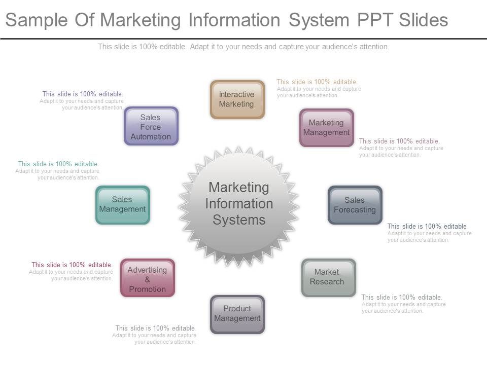 Sample_Of_Marketing_Information_System_Ppt_Slides_1.jpg