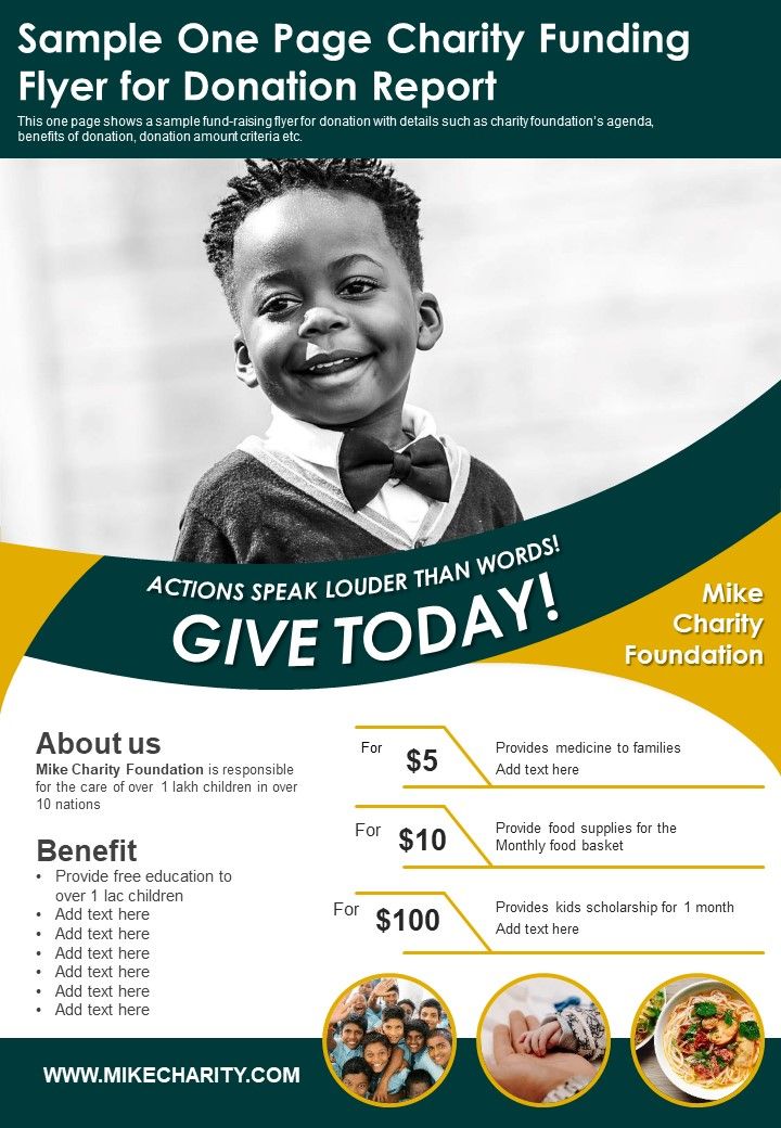 Sample_One_Page_Charity_Funding_Flyer_For_Donation_Report_PDF_Document_PPT_Template_Slide_1.jpg