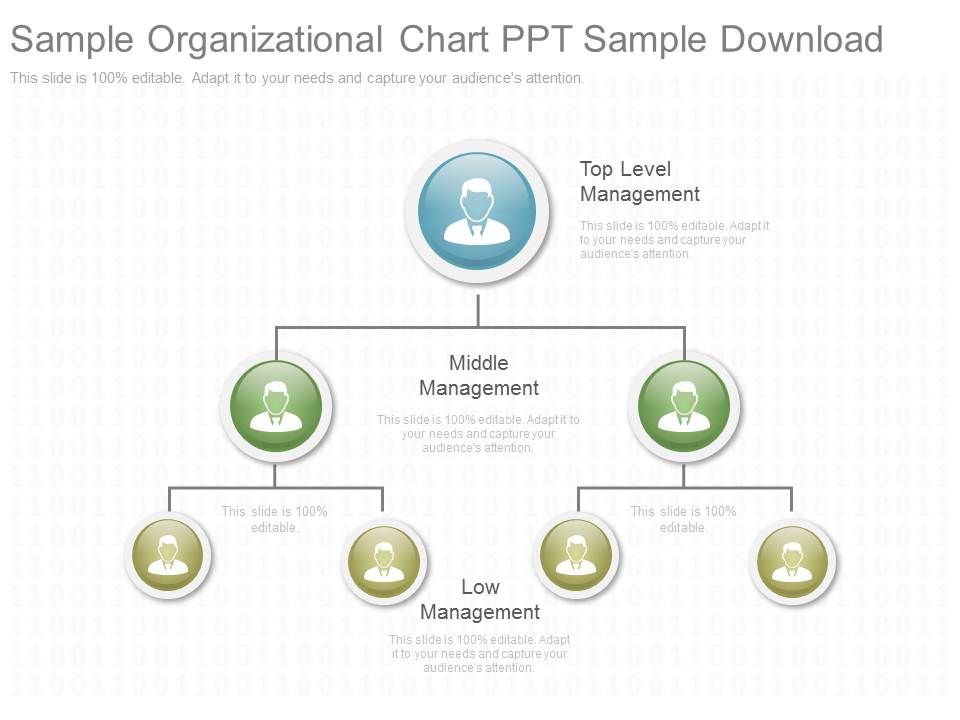 Sample_Organizational_Chart_Ppt_Sample_Download_1.jpg