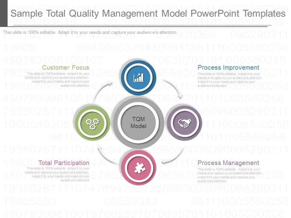 Sample_Total_Quality_Management_Model_Powerpoint_Templates_1.jpg