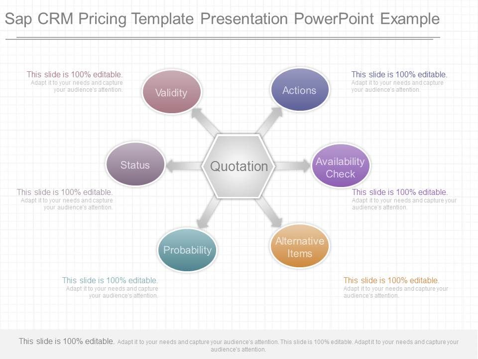 Sap_Crm_Pricing_Template_Presentation_Powerpoint_Example_1.jpg