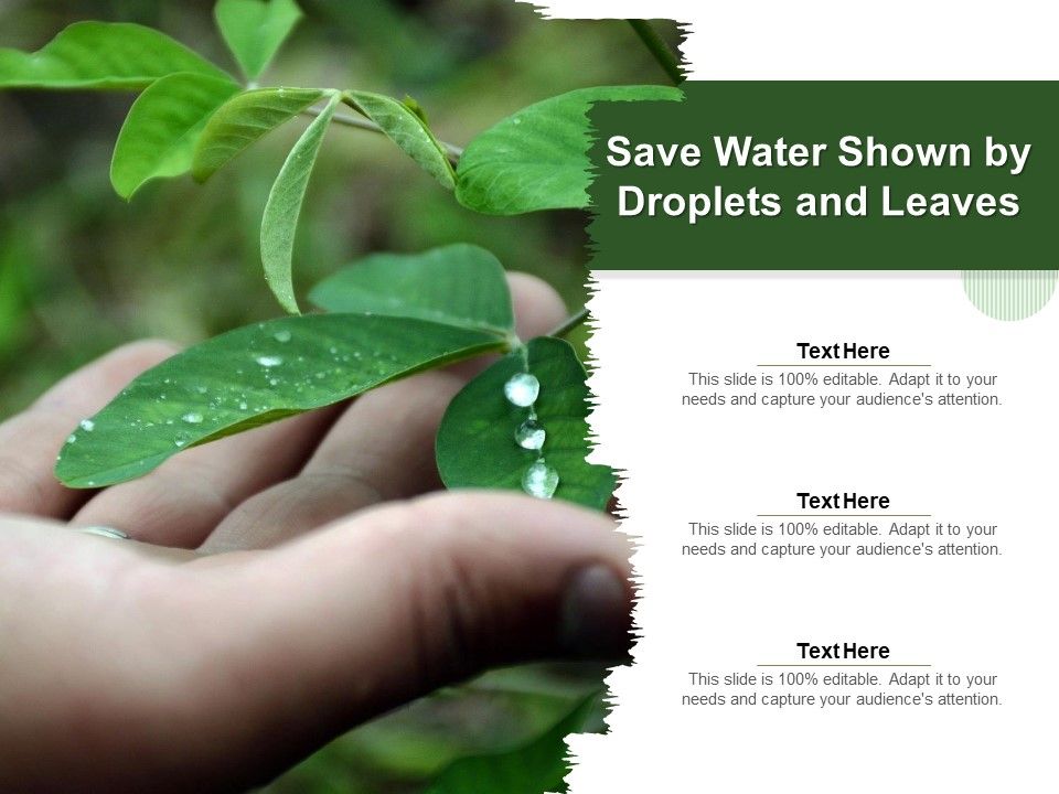 Save_Water_Shown_By_Droplets_And_Leaves_Ppt_PowerPoint_Presentation_File_Themes_PDF_Slide_1.jpg