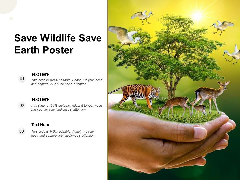 Save_Wildlife_Save_Earth_Poster_Ppt_PowerPoint_Presentation_Layouts_Inspiration_Slide_1.jpg