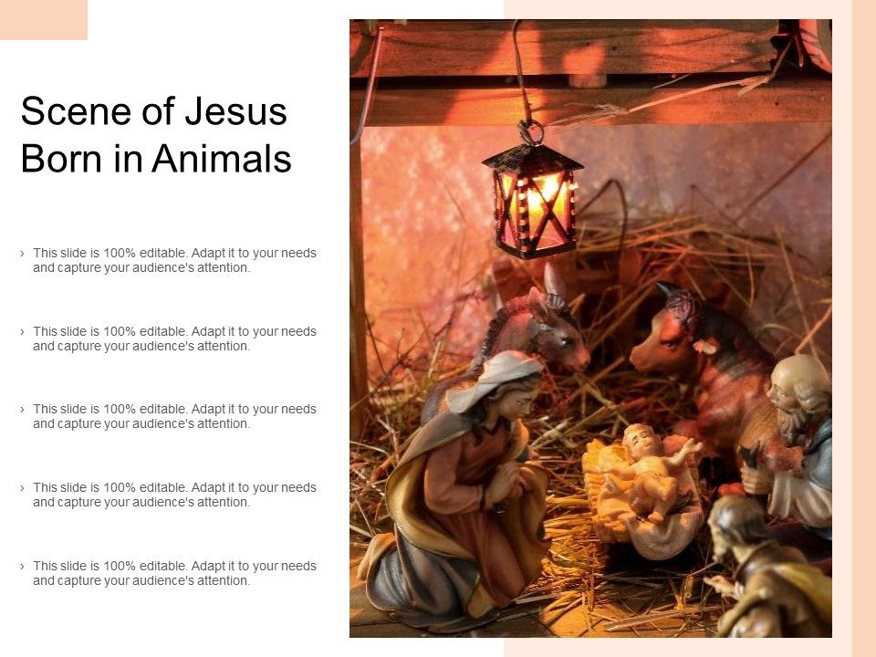 Scene_Of_Jesus_Born_In_Animals_Ppt_PowerPoint_Presentation_Layouts_Display_Slide_1.jpg