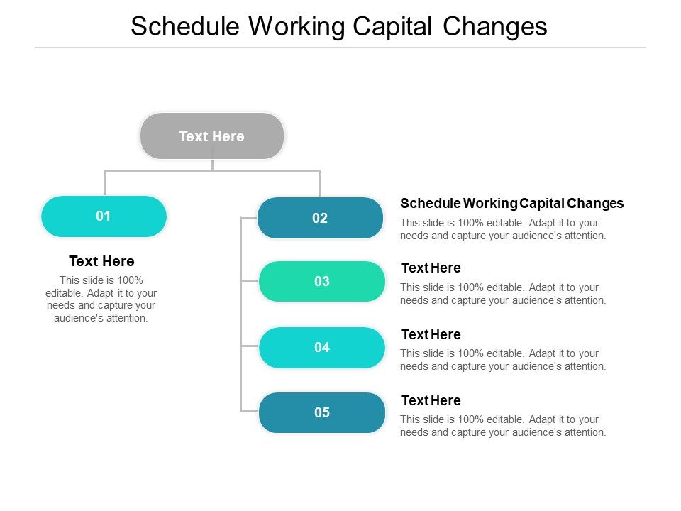 Schedule_Working_Capital_Changes_Ppt_PowerPoint_Presentation_File_Show_Cpb_Slide_1.jpg