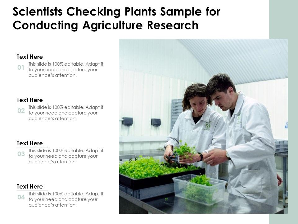 Scientists_Checking_Plants_Sample_For_Conducting_Agriculture_Research_Ppt_PowerPoint_Presentation_Slides_Display_PDF_Slide_1.jpg