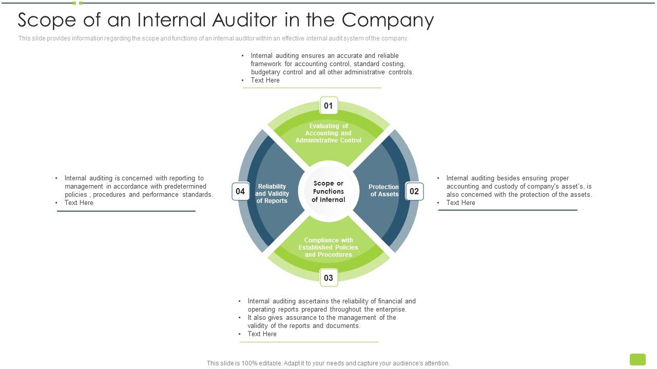 Scope_Of_An_Internal_Auditor_In_The_Company_Ppt_Outline_Background_Images_PDF_Slide_1.jpg