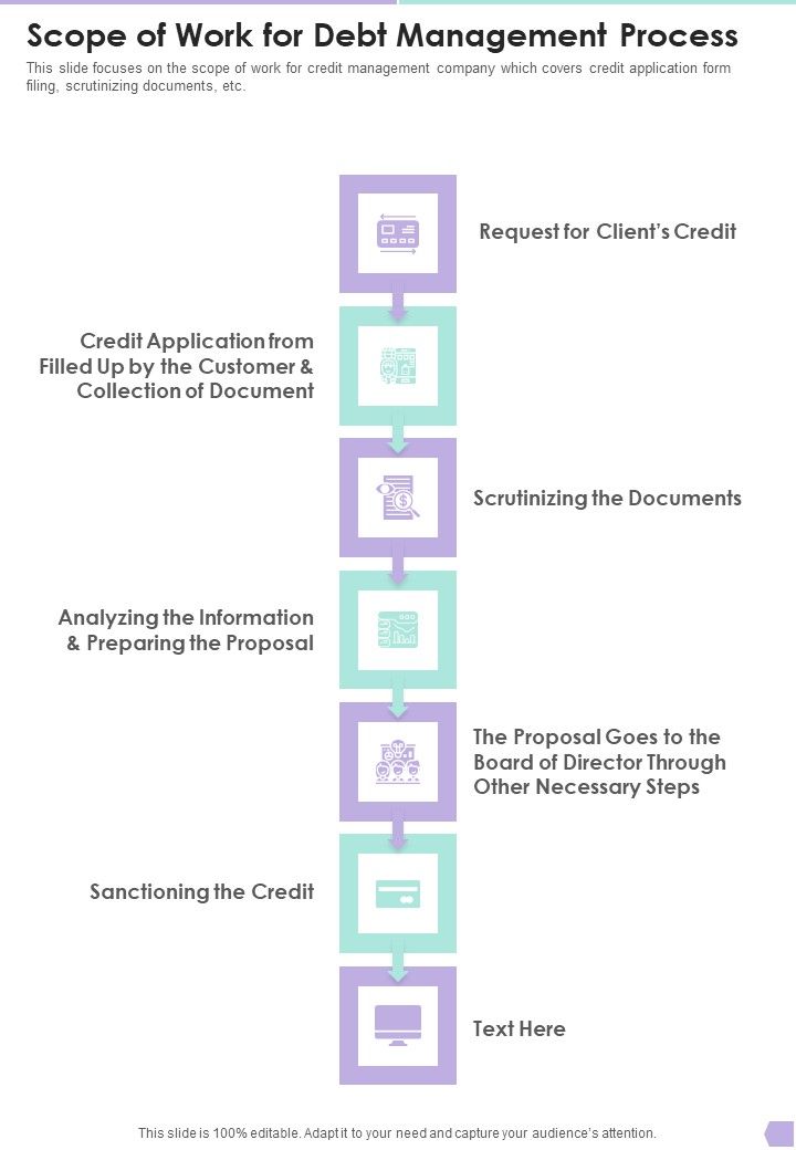 Scope Of Work For Debt Management Process One Pager Sample Example Document Slide01