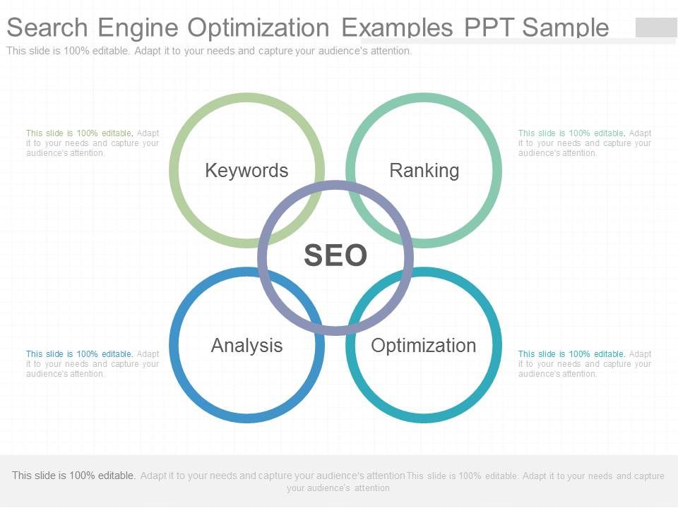 Search_Engine_Optimization_Examples_Ppt_Sample_1.jpg