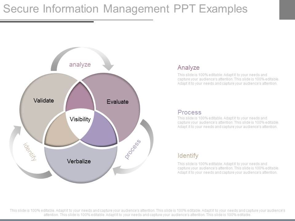 Secure_Information_Management_Ppt_Examples_1.jpg