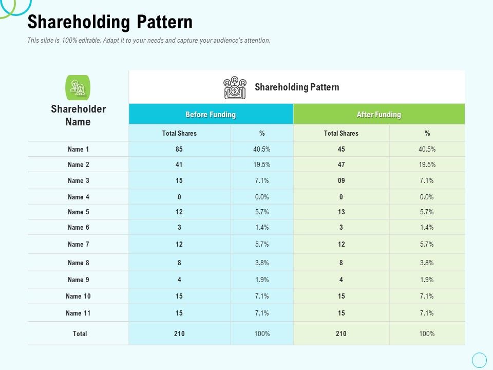 Seed_Capital_Shareholding_Pattern_Ppt_PowerPoint_Presentation_File_Slides_PDF_Slide_1.jpg