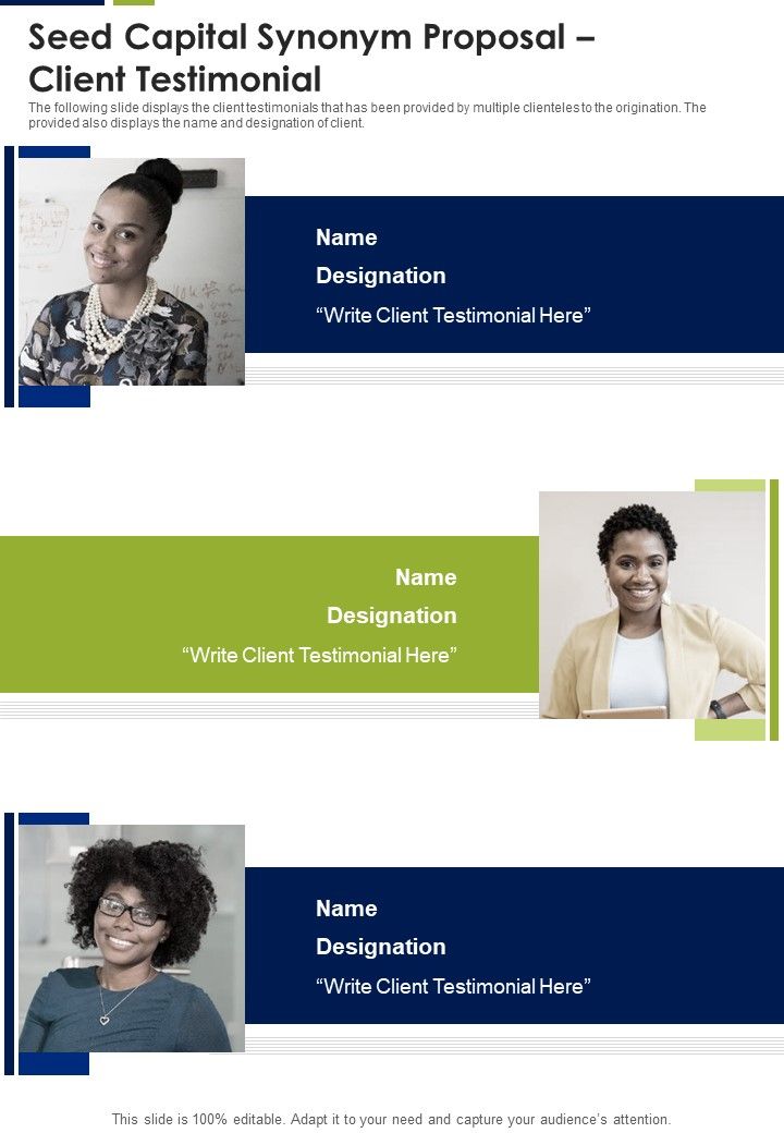 Seed Capital Synonym Proposal Client Testimonial One Pager Sample Example Document Slide01