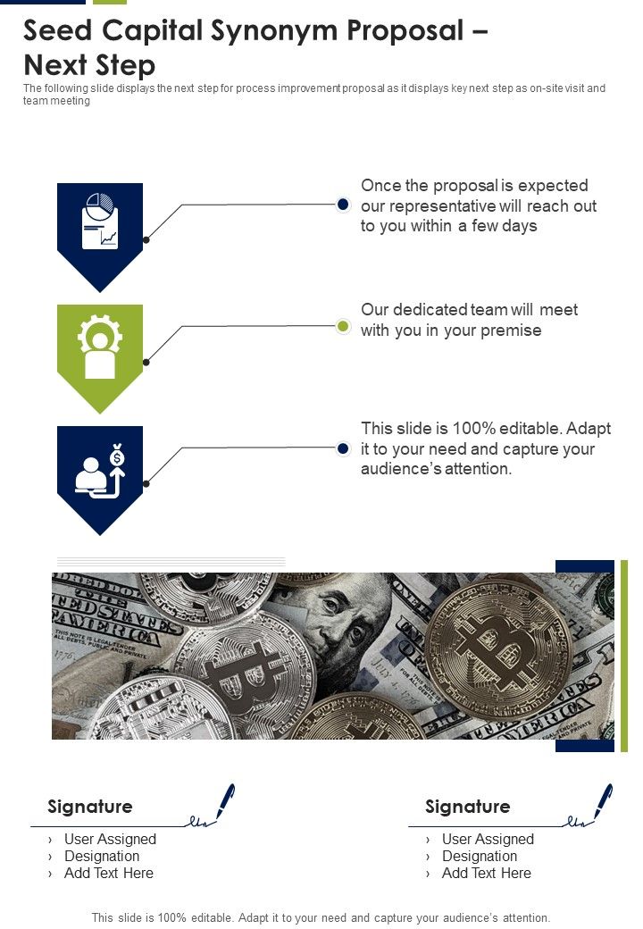 Seed_Capital_Synonym_Proposal_Next_Step_One_Pager_Sample_Example_Document_Slide_1.jpg