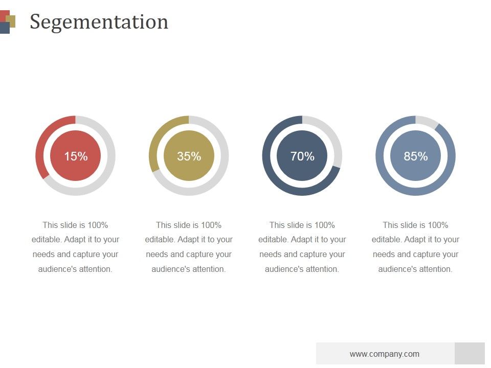 Segementation_Ppt_PowerPoint_Presentation_Visuals_Slide_1.jpg