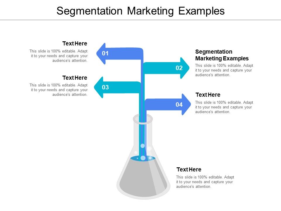 Segmentation_Marketing_Examples_Ppt_PowerPoint_Presentation_Professional_Example_Cpb_Slide_1.jpg