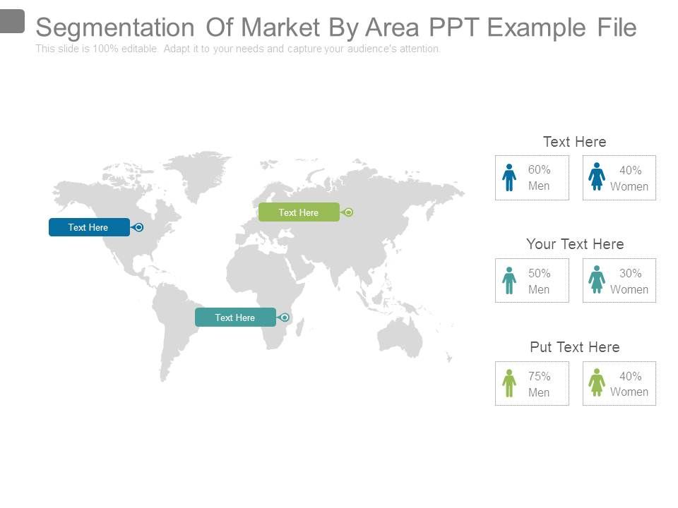 Segmentation_Of_Market_By_Area_Ppt_Example_File_1.jpg