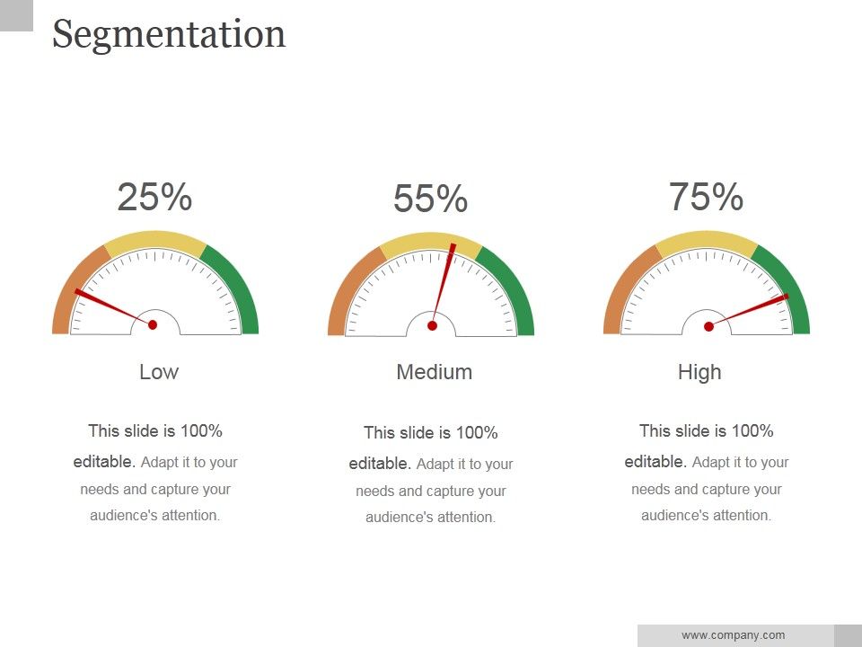 Segmentation_Ppt_PowerPoint_Presentation_Infographic_Template_Slide_1.jpg