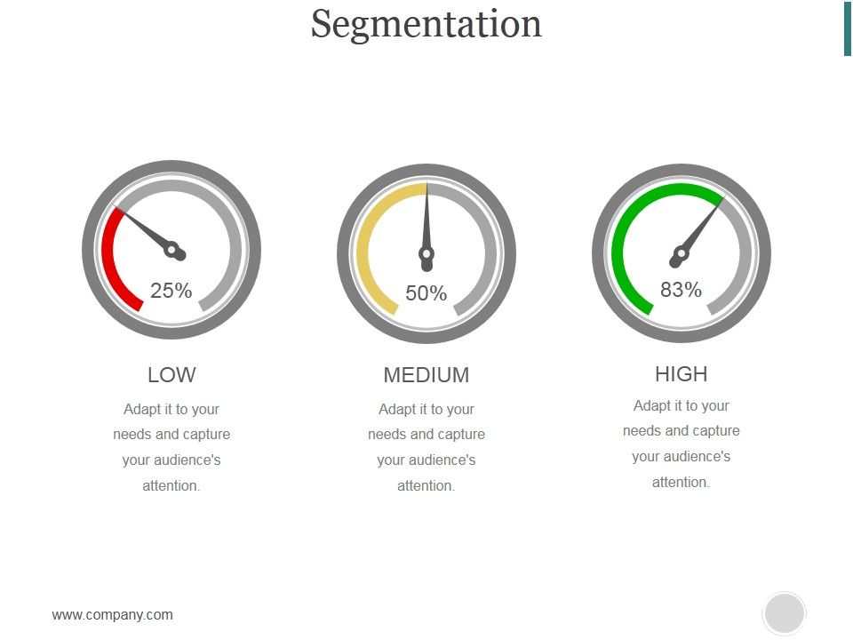 Segmentation_Ppt_PowerPoint_Presentation_Portfolio_Slide_1.jpg