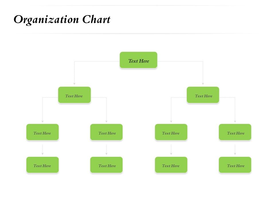 Select_Of_Organizational_Model_That_Supports_Your_Strategy_Organization_Chart_Ppt_File_Portfolio_PDF_Slide_1.jpg