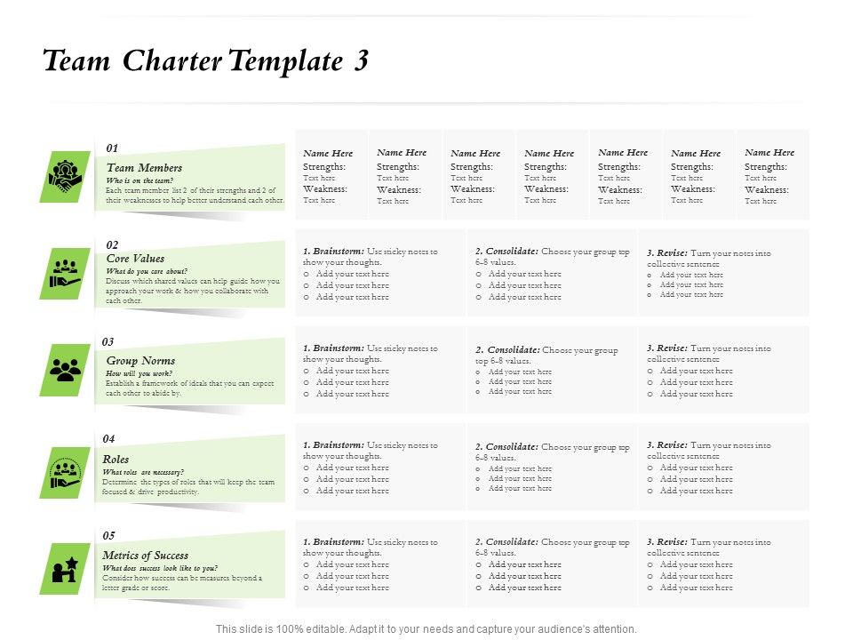 Select_Of_Organizational_Model_That_Supports_Your_Strategy_Team_Charter_Template_Roles_Ppt_Show_Summary_PDF_Slide_1.jpg