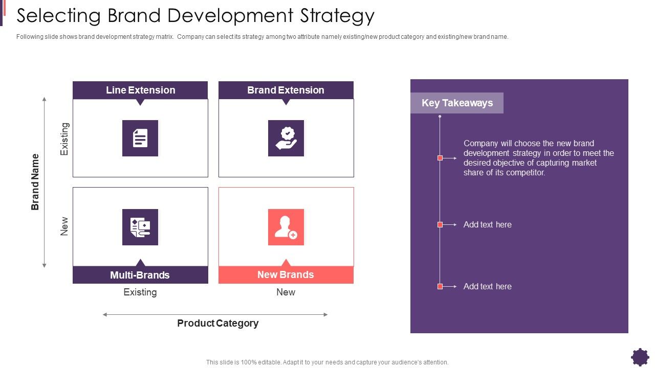 Selecting_Brand_Development_Strategy_Brand_Techniques_Structure_Elements_PDF_Slide_1.jpg