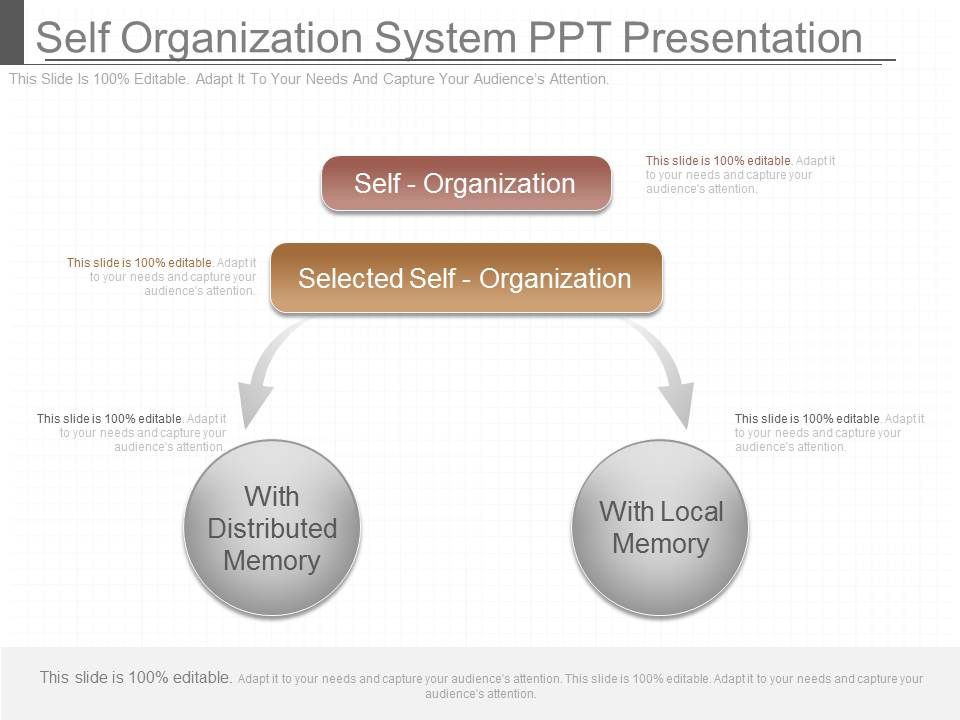 Self_Organization_System_Ppt_Presentation_1.jpg