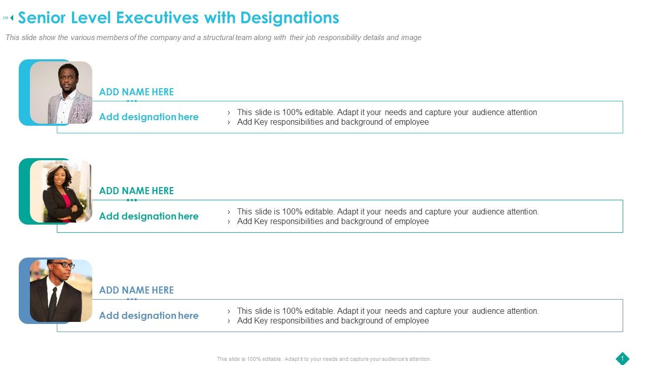 Senior_Level_Executives_With_Designations_Ppt_Infographic_Template_Graphics_Tutorials_PDF_Slide_1.jpg