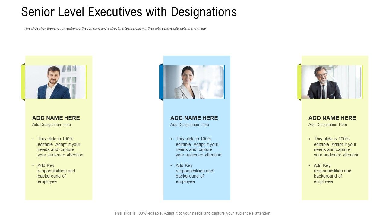 Senior_Level_Executives_With_Designations_Ppt_Infographic_Template_Gridlines_PDF_Slide_1.jpg