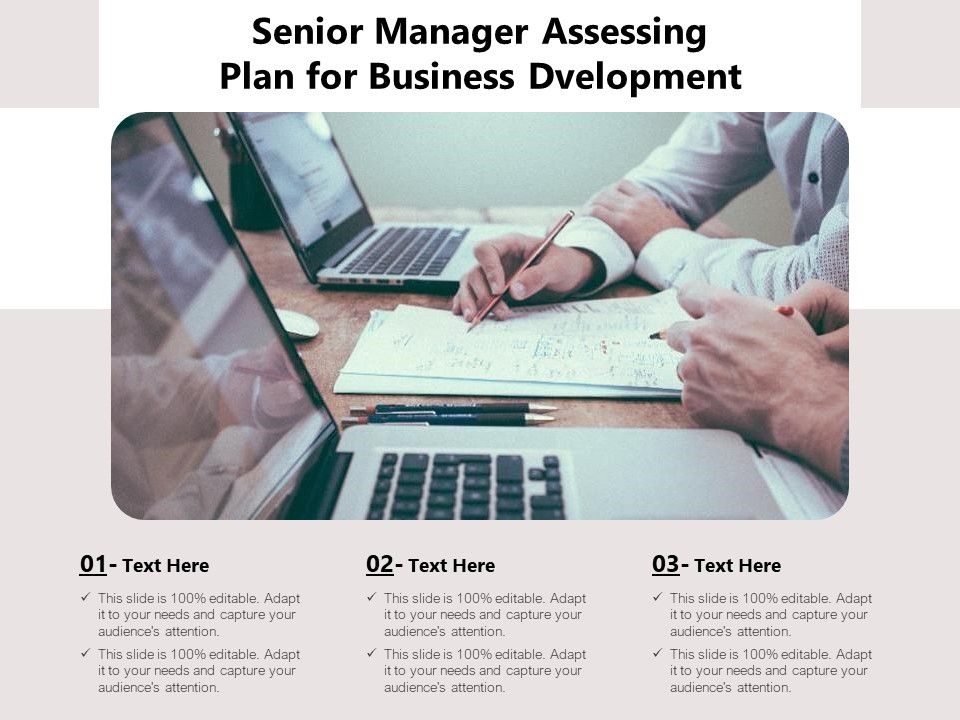 Senior_Manager_Assessing_Plan_For_Business_Dvelopment_Ppt_PowerPoint_Presentation_Inspiration_Picture_PDF_Slide_1.jpg