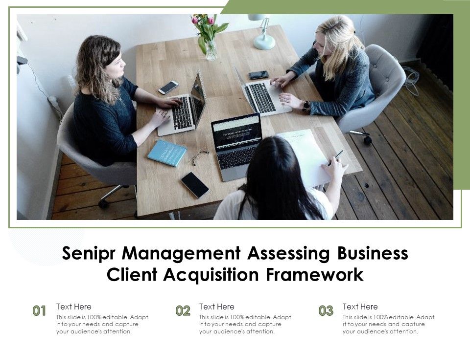 Senipr_Management_Assessing_Business_Client_Acquisition_Framework_Ppt_PowerPoint_Presentation_Gallery_Vector_PDF_Slide_1.jpg