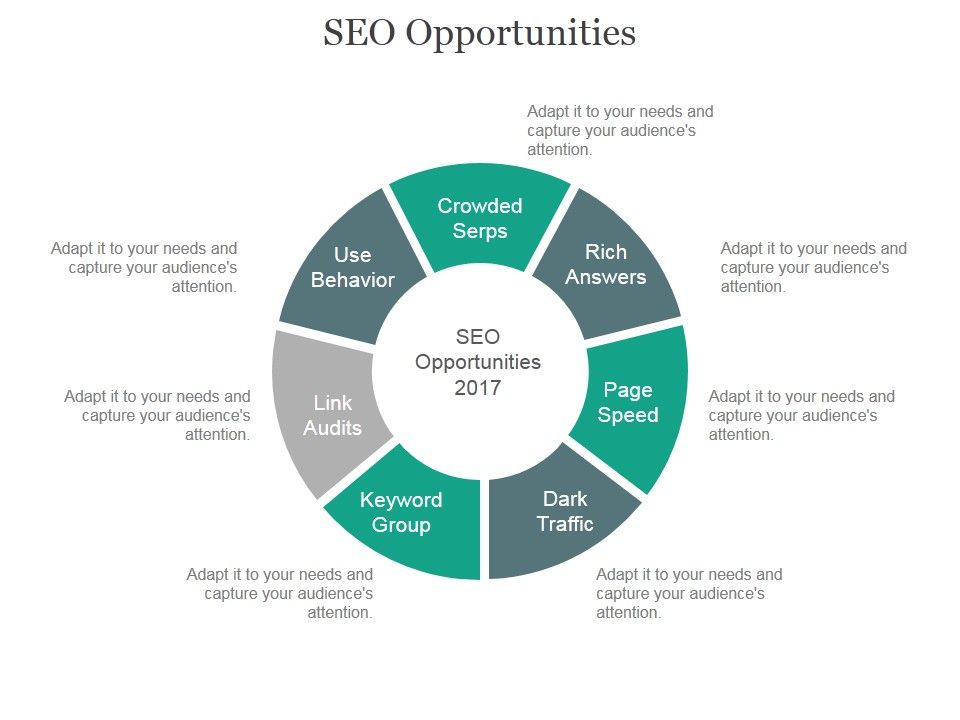 Seo_Opportunities_Ppt_PowerPoint_Presentation_Samples_Slide_1.jpg