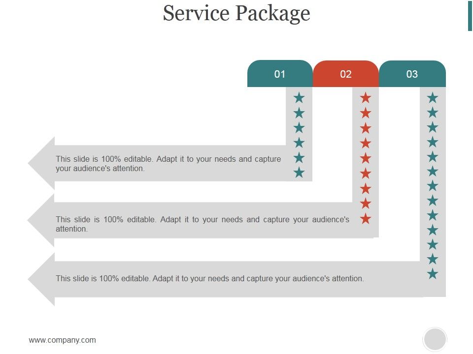 Service_Package_Ppt_PowerPoint_Presentation_Summary_Slide_1.jpg