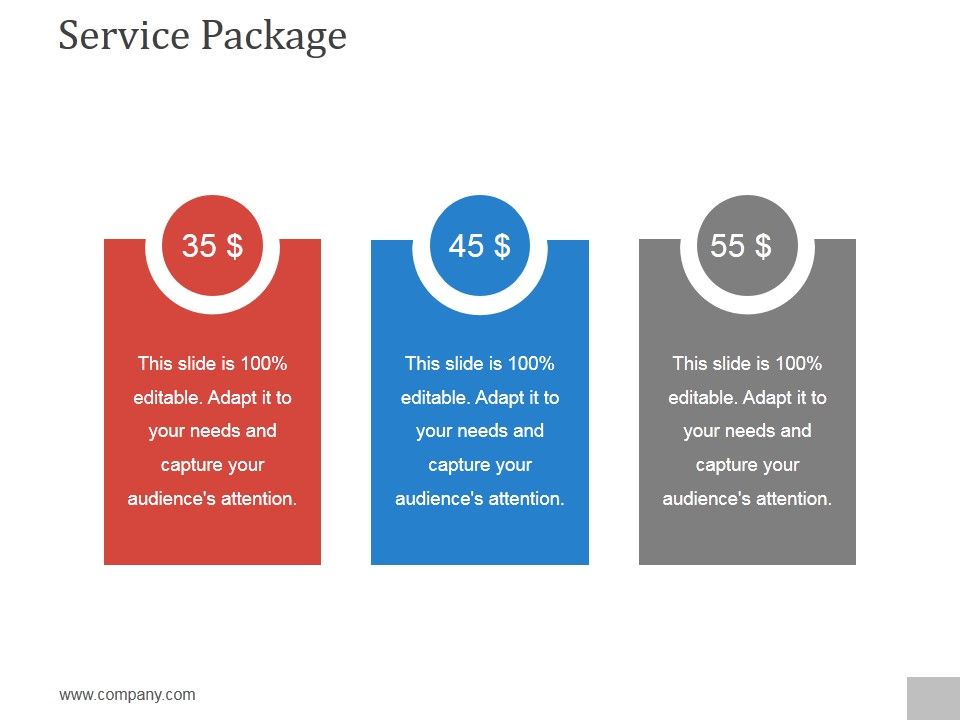 Service_Package_Template_1_Ppt_PowerPoint_Presentation_Guide_Slide_1.jpg