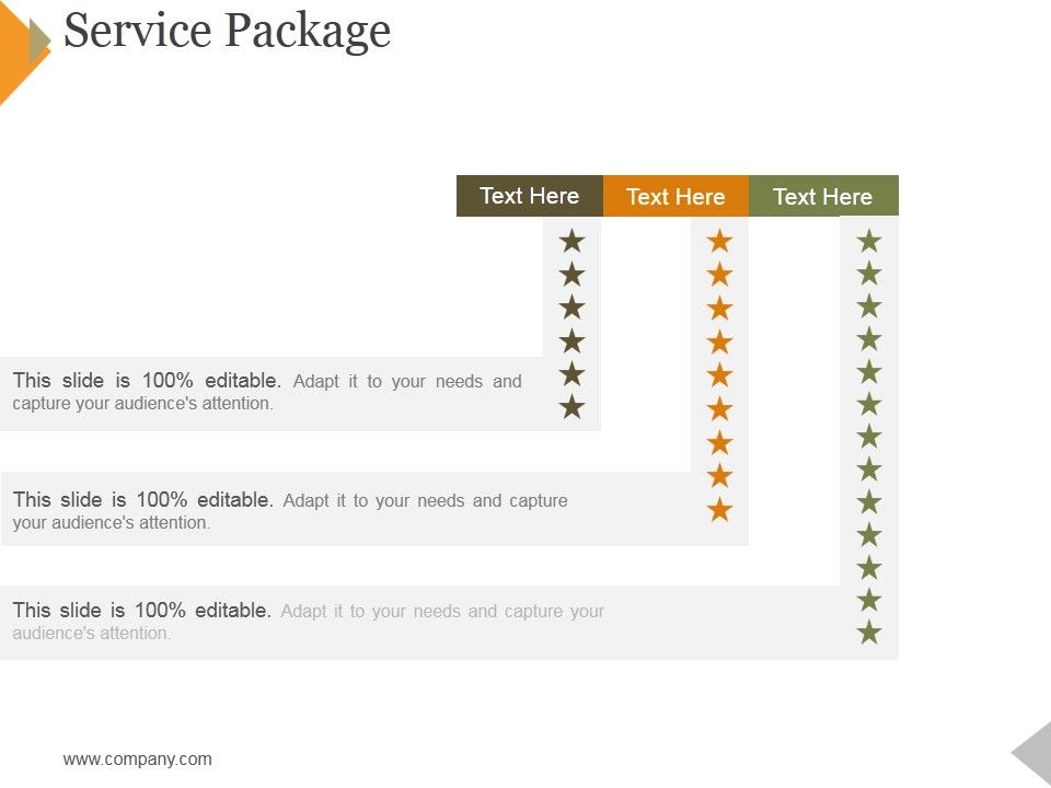 Service_Package_Template_2_Ppt_PowerPoint_Presentation_Summary_Good_Slide_1.jpg