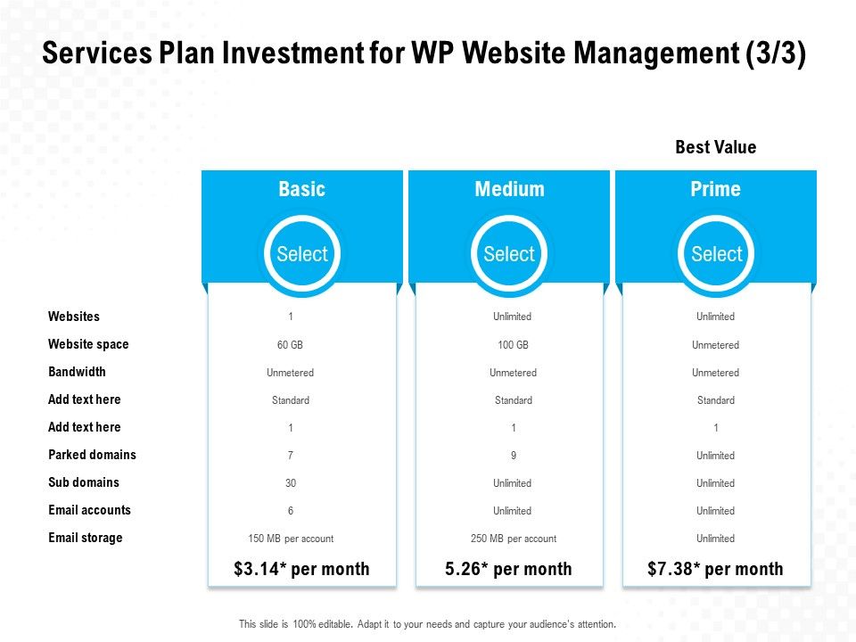 Services_Plan_Investment_For_WP_Website_Management_Basic_Ppt_PowerPoint_Presentation_File_Slides_Slide_1.jpg
