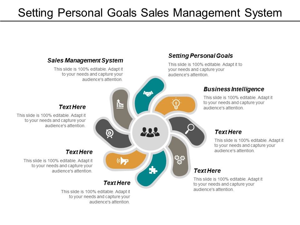 Setting_Personal_Goals_Sales_Management_System_Business_Intelligence_Ppt_PowerPoint_Presentation_Summary_Layout_Ideas_Slide_1.jpg