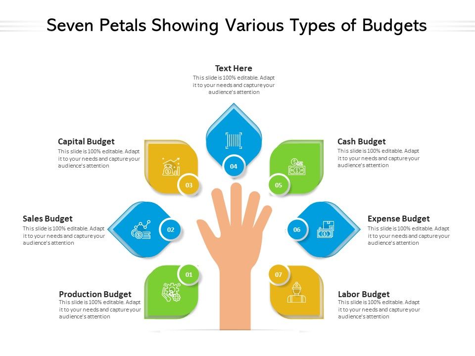 Seven_Petals_Showing_Various_Types_Of_Budgets_Ppt_PowerPoint_Presentation_Layouts_Introduction_PDF_Slide_1.jpg
