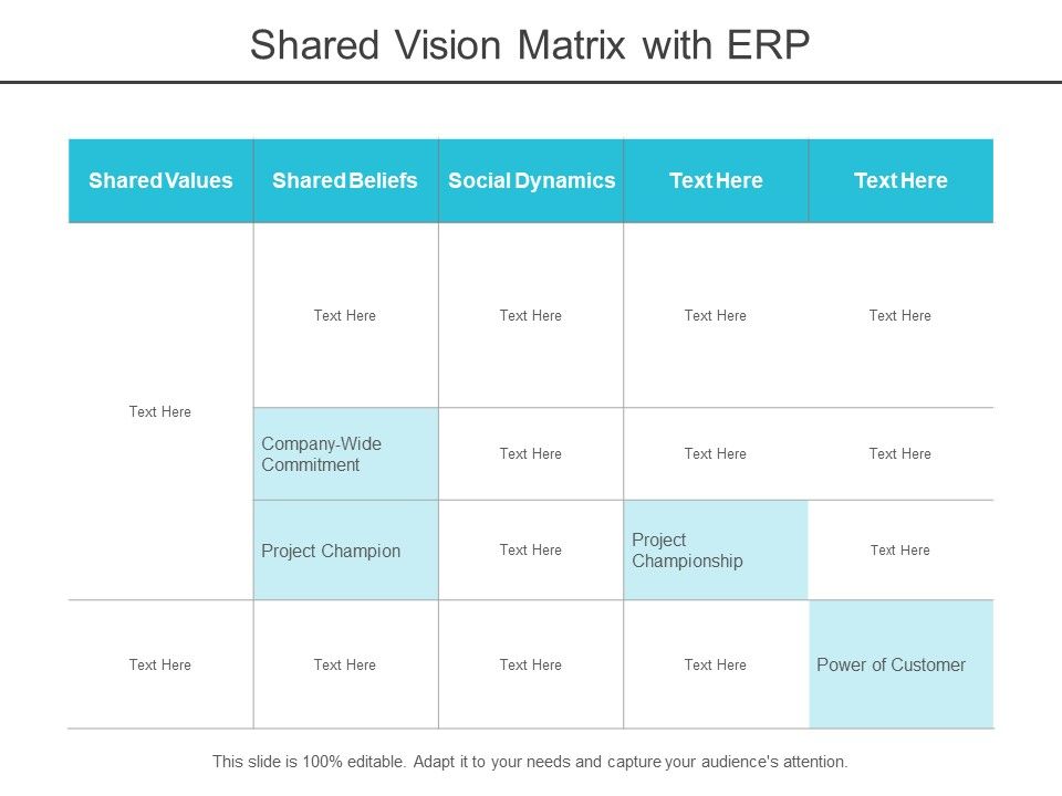 Shared_Vision_Matrix_With_Erp_Ppt_PowerPoint_Presentation_Infographics_Background_Images_Slide_1.jpg